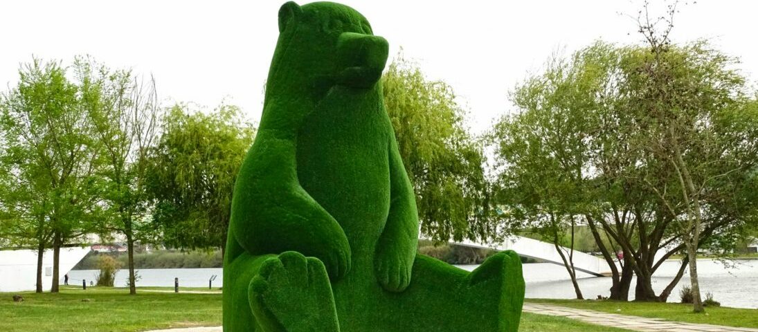 10 cose da fare a Coimbra - Orso del Parco Verde