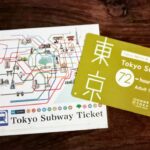 Metropolitana di Tokyo - Biglietto